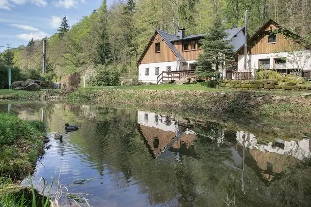 Ferienhaus Oppach - Plaj