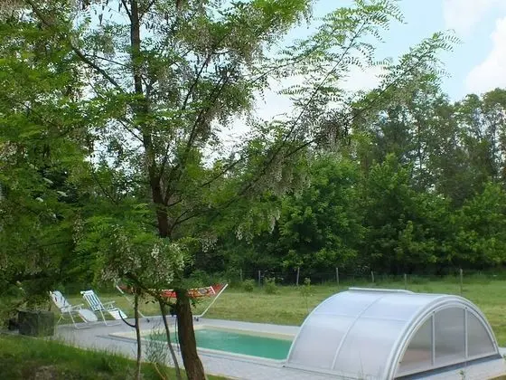 Ferienhaus Waldhof - Havuz