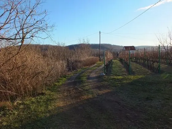 Ferienhaus Weinbergalm - Konum Öne Çıkanlar