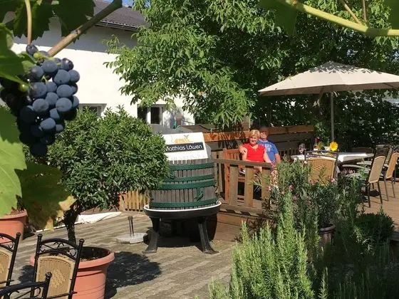 Ferienweingut Matthias Löwen - 1