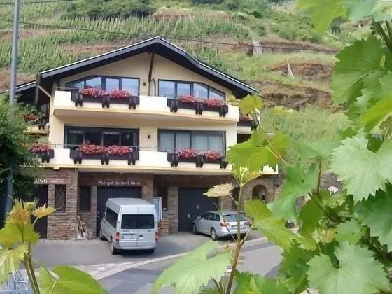 Ferienweingut Stein - Dış Mekan
