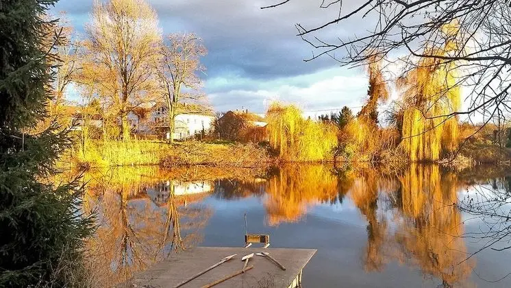 Ferienwohnung mit Terrasse und Privatsee