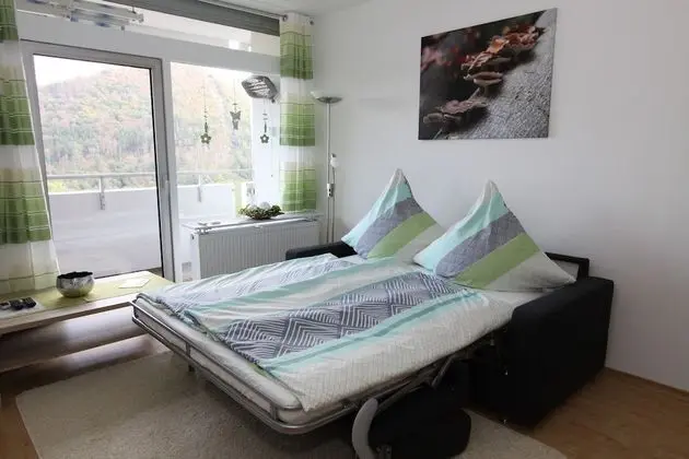 Ferienwohnung Riefenbach - Oda