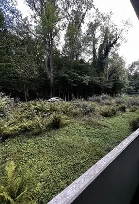 Ferienwohnungen & Doppelzimmer Naturblick im Herzen von Bad Harzburg - Dış Mekan
