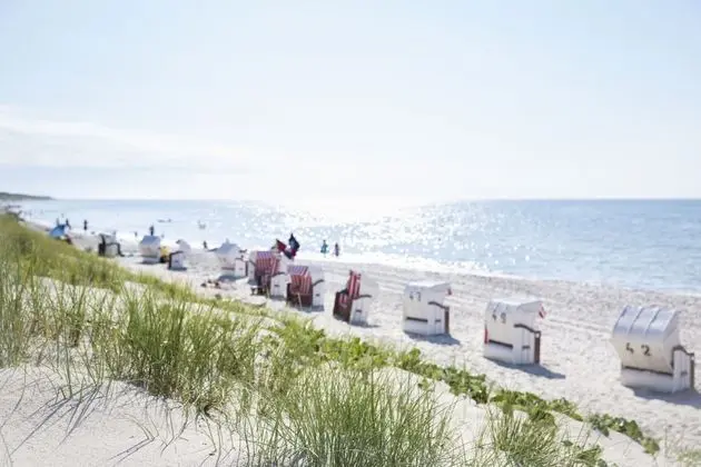 Ferienwohnungen Fischland - Plaj