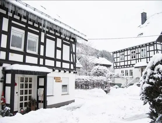 Ferienwohnungen Haus am Medebach - Dış Mekan