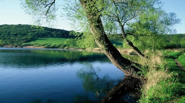 Ferienwohnungen Maarberg Resort - Genel