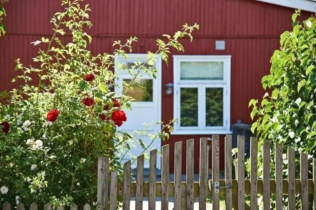 Feriestedet Nordliv - Dış Mekan