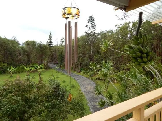 Fern Forest Getaway
