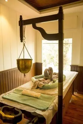 The Fern Hillside Resort Bhimtal - Spa