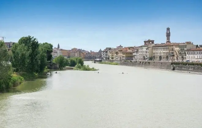 Ferrucci
