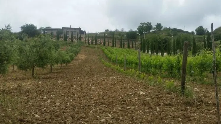 Feudi Enchestre B&B - Dış Mekan
