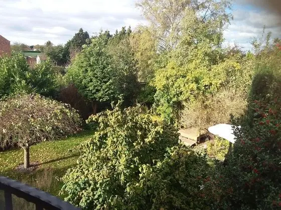 Field View B&B