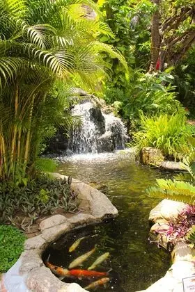 Fiesta Americana Puerto Vallarta All Inclusive & Spa - Dış Mekan