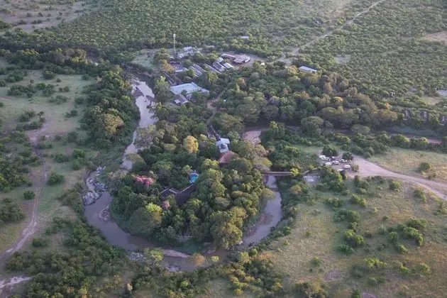 Fig Tree Camp - 1