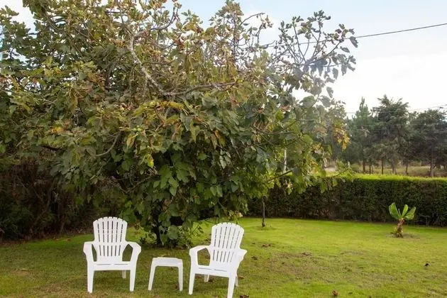 Fig Tree Family House w 4 Bedrooms, Garden & Pool - Dış Mekan