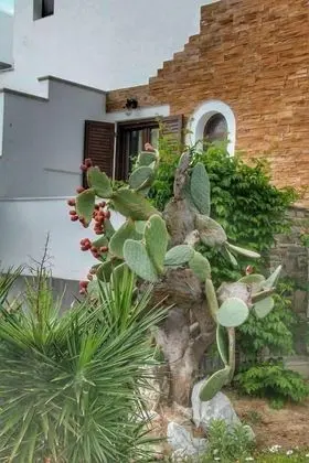 Fikas Hotel - Dış Mekan