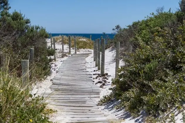 Fin Whale Beach House - Plaj