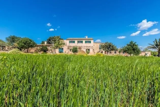 Finca Agroturismo Sa Cova den Borino
