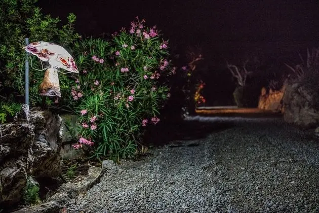 Finca Can Duvai Mallorca - Dış Mekan