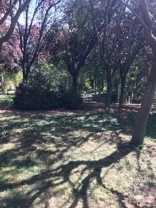 Finca Casa Palacio (10 min Puy du Fou, 6 km Toledo) - Dış Mekan