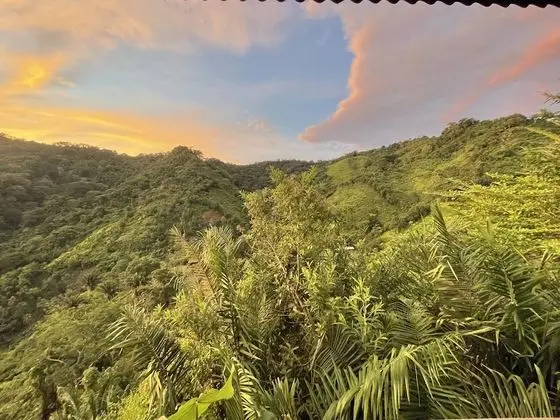 Finca Cuipo