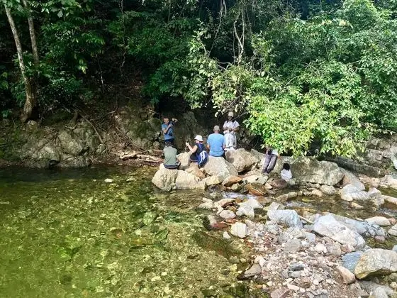Finca La Jorará - Havuz
