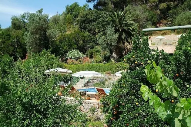 Finca sa Màniga - Dış Mekan