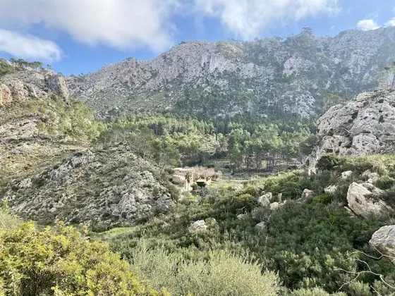 Finca Ses Fontanelles - Dış Mekan