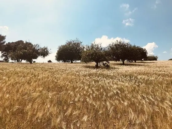 Finca Sestelrica - Dış Mekan