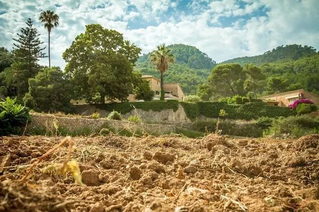 Finca Son Brondo - Dış Mekan