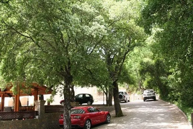 Fiori