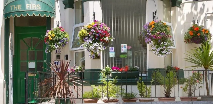 The Firs Bed and Breakfast - Mülk Olanakları
