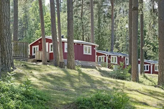 First Camp Kolmården - 1