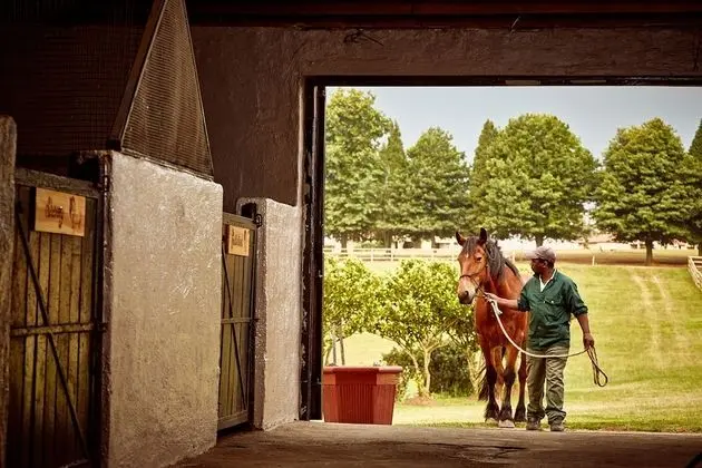 First Group Midlands Saddle and Trout - Dış Mekan