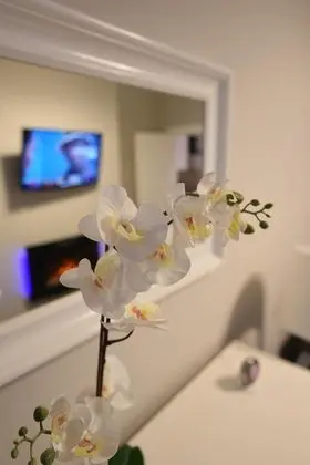 First - Slateford House Apartment - İç Mekan