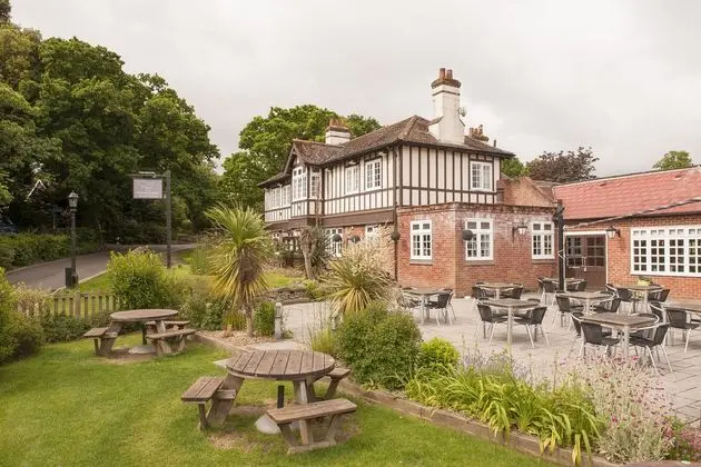 The Fishbourne - Genel