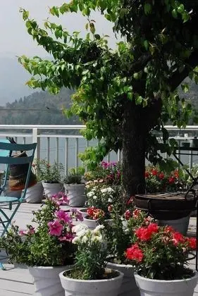 Fishermen's Lodge - A Lake Facing Hotel Near Nainital - Dış Mekan