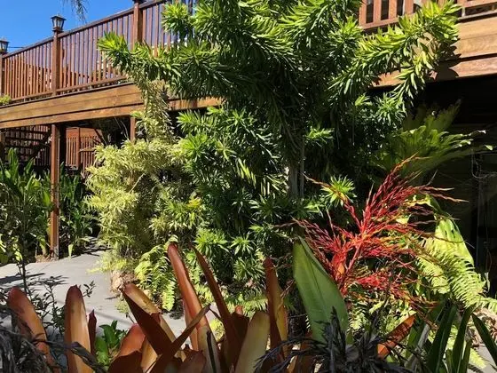 Five 3 Five - The Beachside Barracks