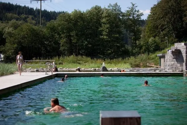 Flair Hotel Hochspessart - Havuz