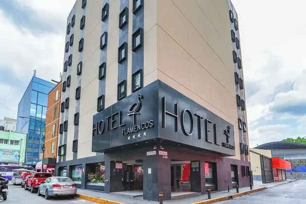 Hotel Flamencos - Dış Mekan