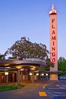 Flamingo Conference Resort & Spa