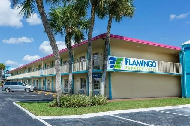 Flamingo Express Hotel - Genel