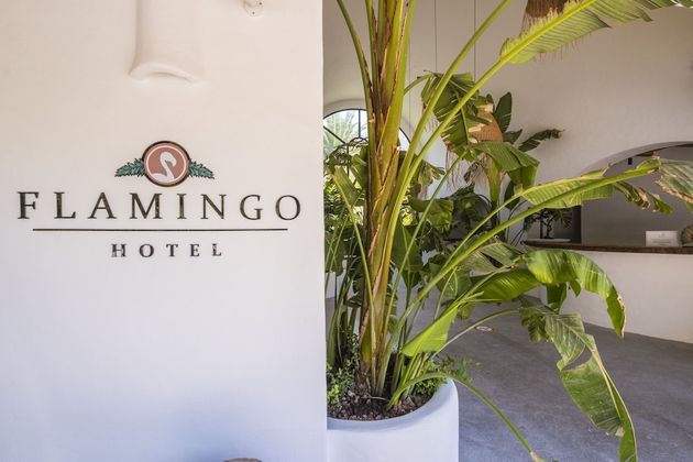 Flamingo Hotel