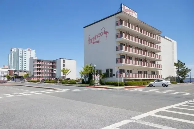 Flamingo Motel - Dış Mekan