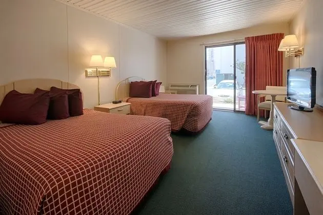 Flamingo Motel - Oda