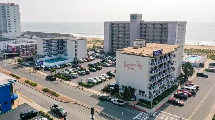 Flamingo Motel - Öne Çıkan Resim