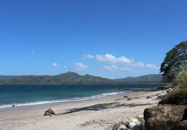 Flamingo Marina Resort - Plaj