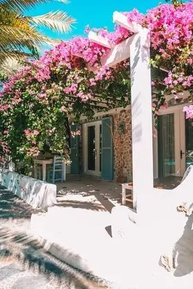Flamingo Hotel - Dış Mekan