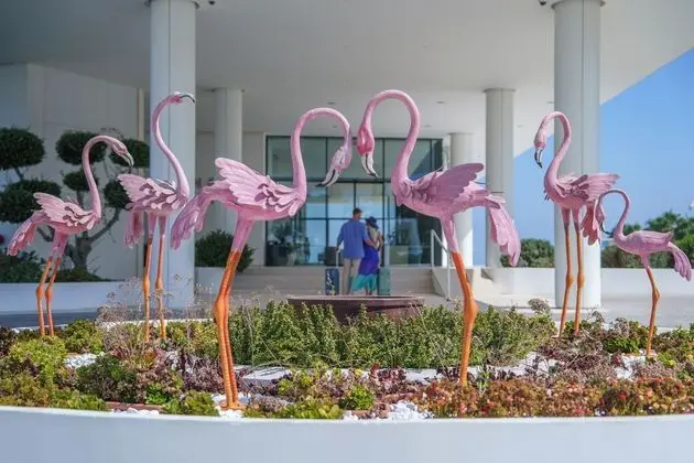 Flamingo Paradise Beach Hotel Adults Only - Dış Mekan